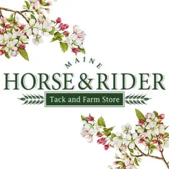 Mainehorseandrider