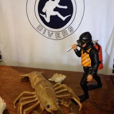Malibudivers