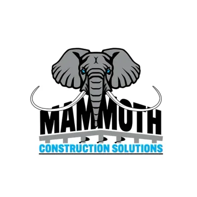 Mammothconstructionsolutions