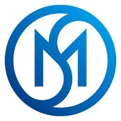 M & S Consulting LLC logo