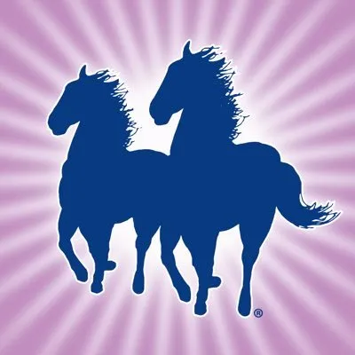 Mane n Tail Equine logo