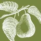 www.manhattanfruitier.com