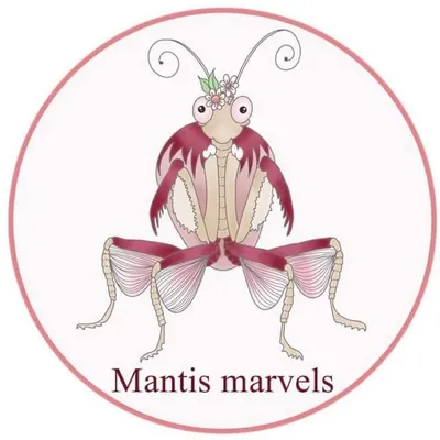 mantismarvels.co.uk logo