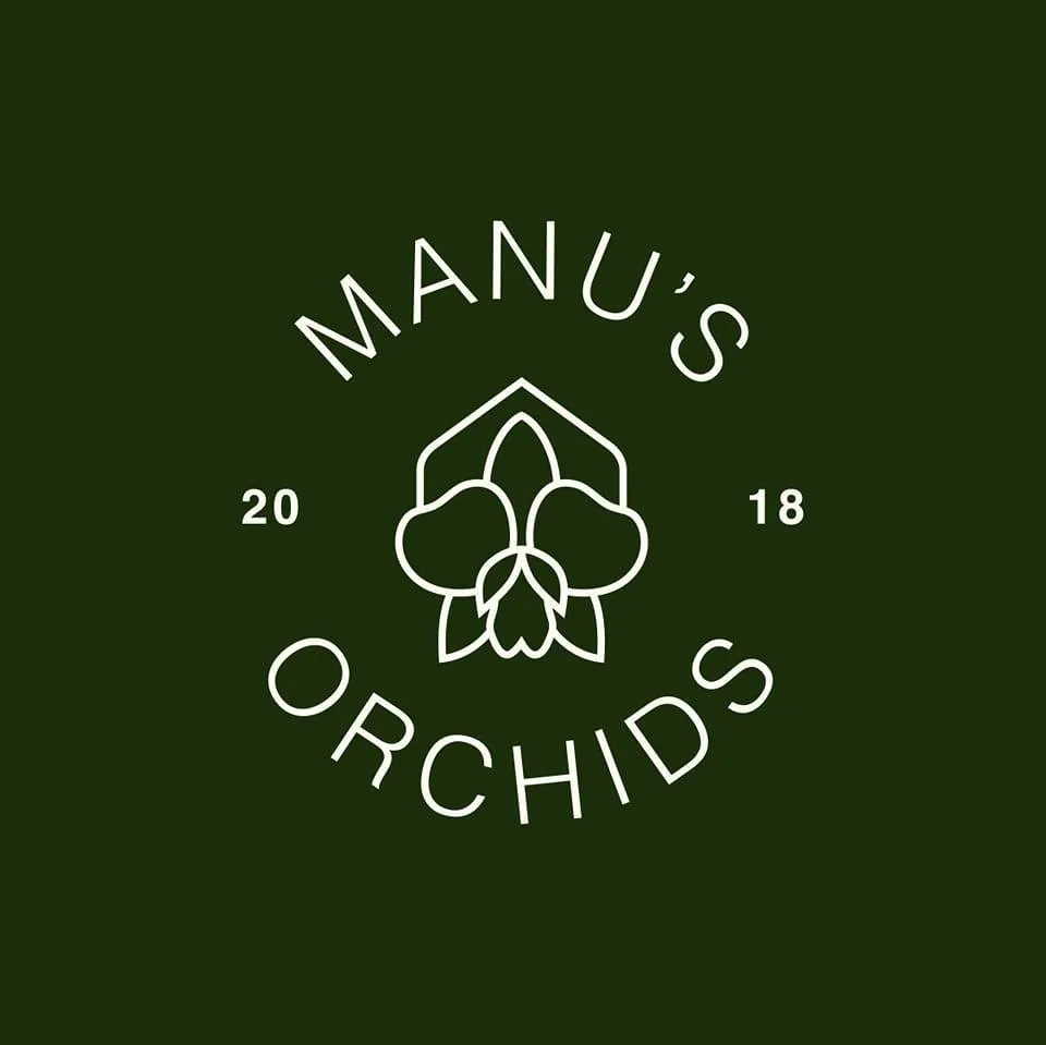 Manusorchids