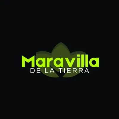 maravillaslatierra.com logo