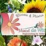 Logo Marcel de Wit bloemen en planten