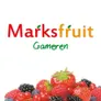 Logo Marksfruit