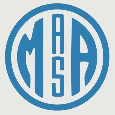 MASA Chips