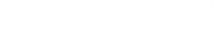 Massimodutti light logo