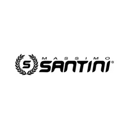 Santini Group srl logo