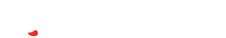Maxi Zoo PL light logo