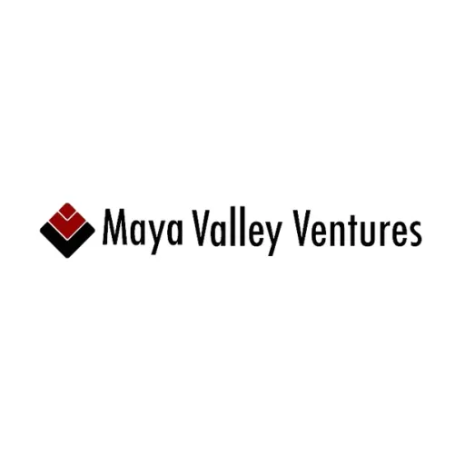 MayaValley P1S1 A Series of V360 Holdings LLC logo