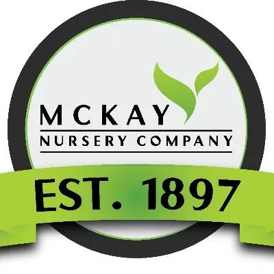 Mckaynursery