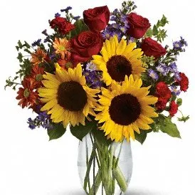 Mcleansflorist