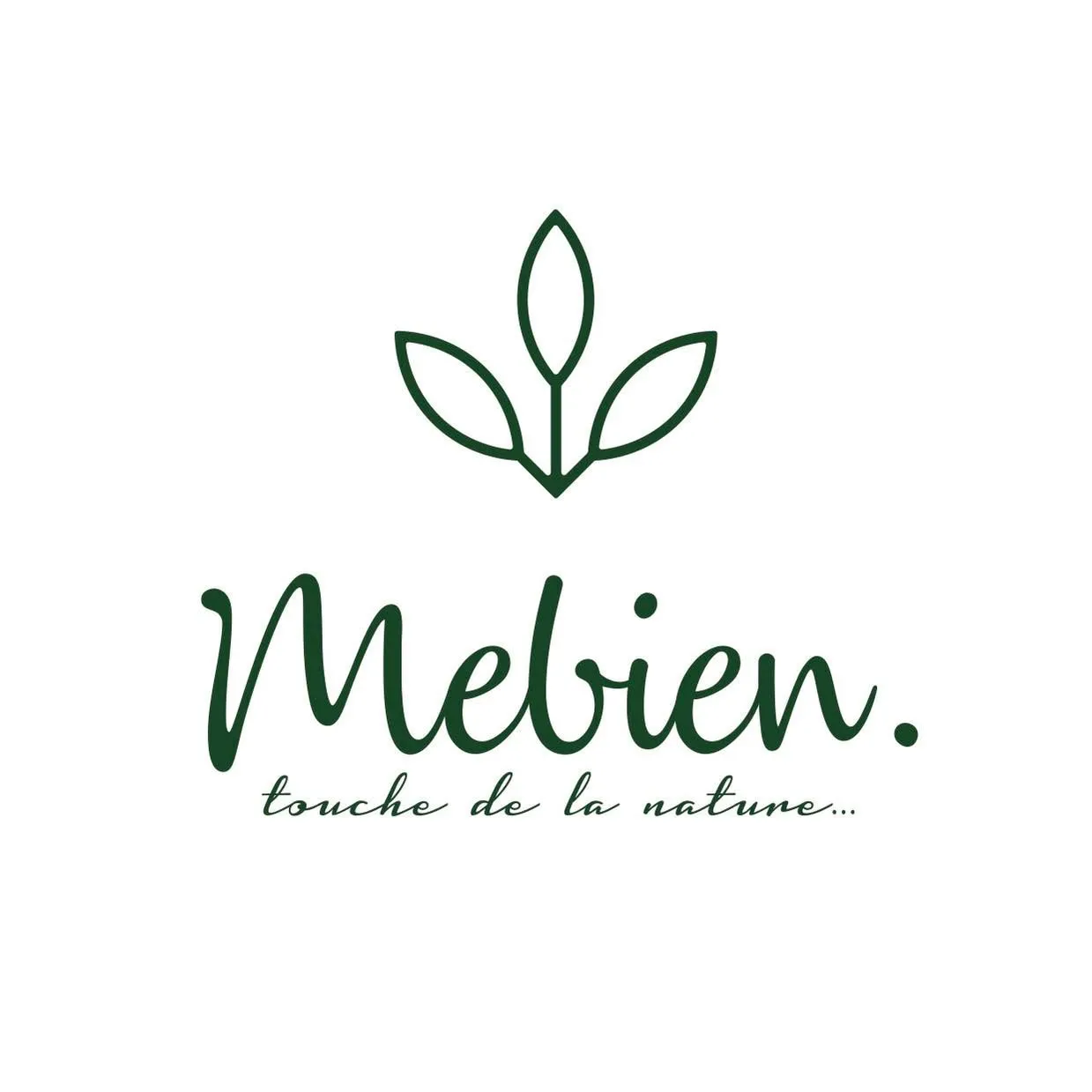 Mebien