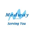 Medway Council-company-logo