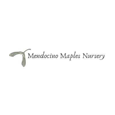Mendocinomaples