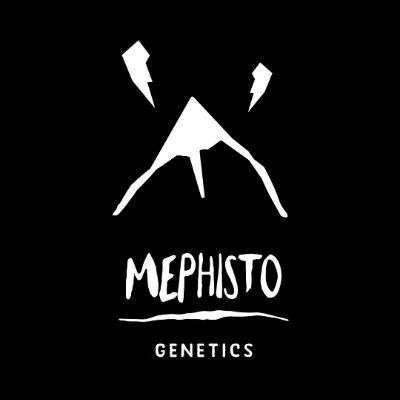 Mephisto