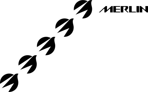 Merlin Labs