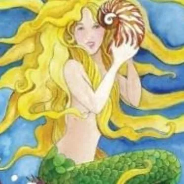 Mermaidsfolly