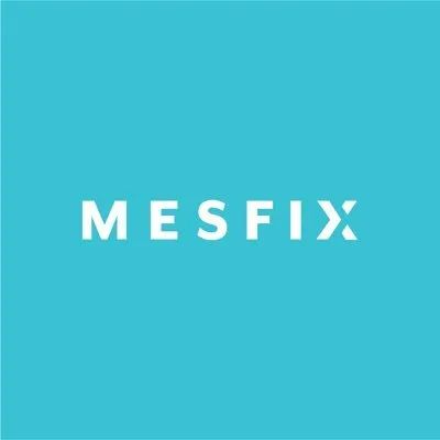 Mesfix