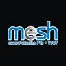 Mesh Computers logo