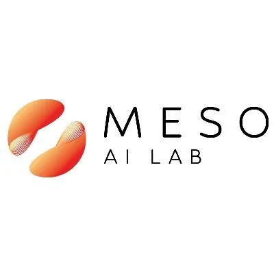 Meso logo
