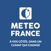 Logo from Brandfetch