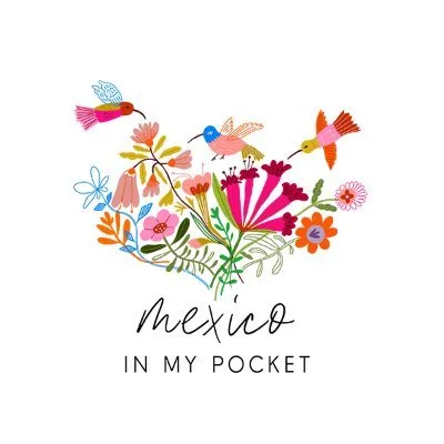 Mexico In My Pocket logo