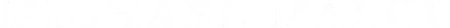 Michael Malul light logo