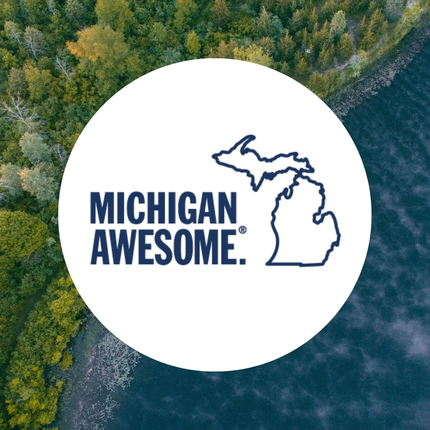 Michiganawesome