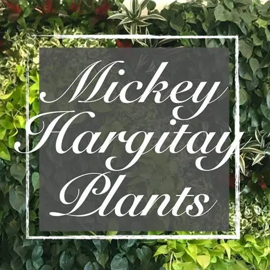 Mickeysplants