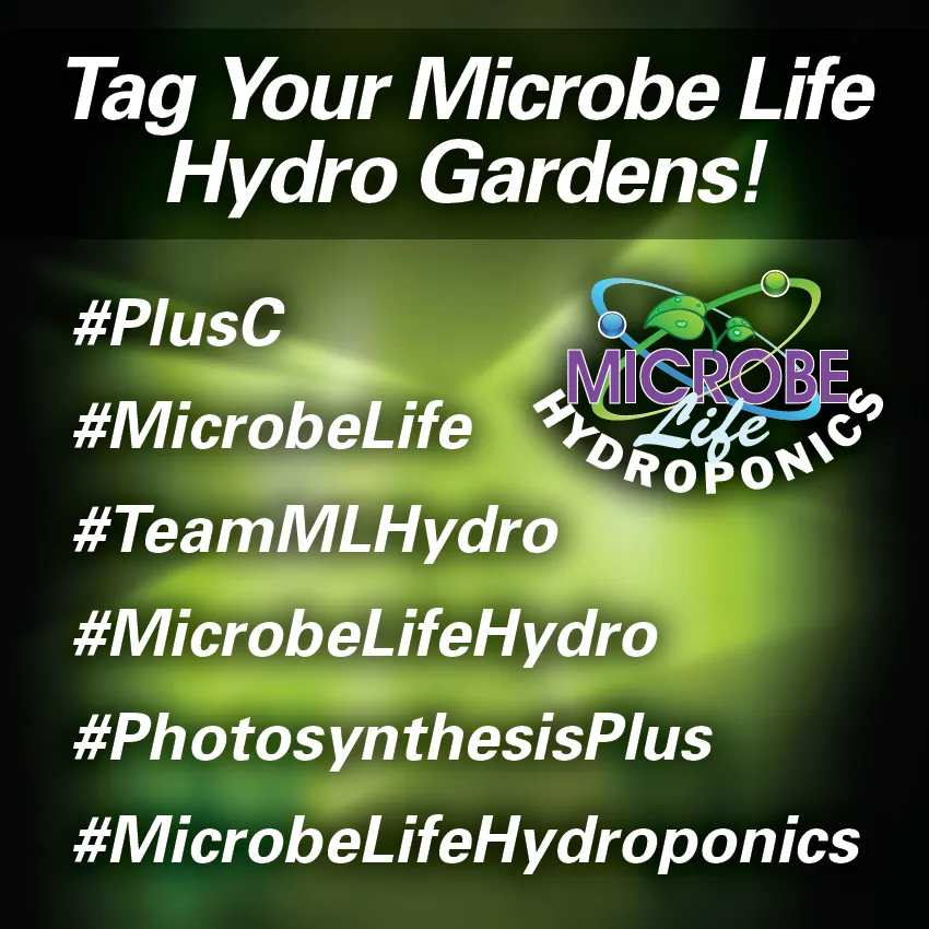 Microbelifehydro