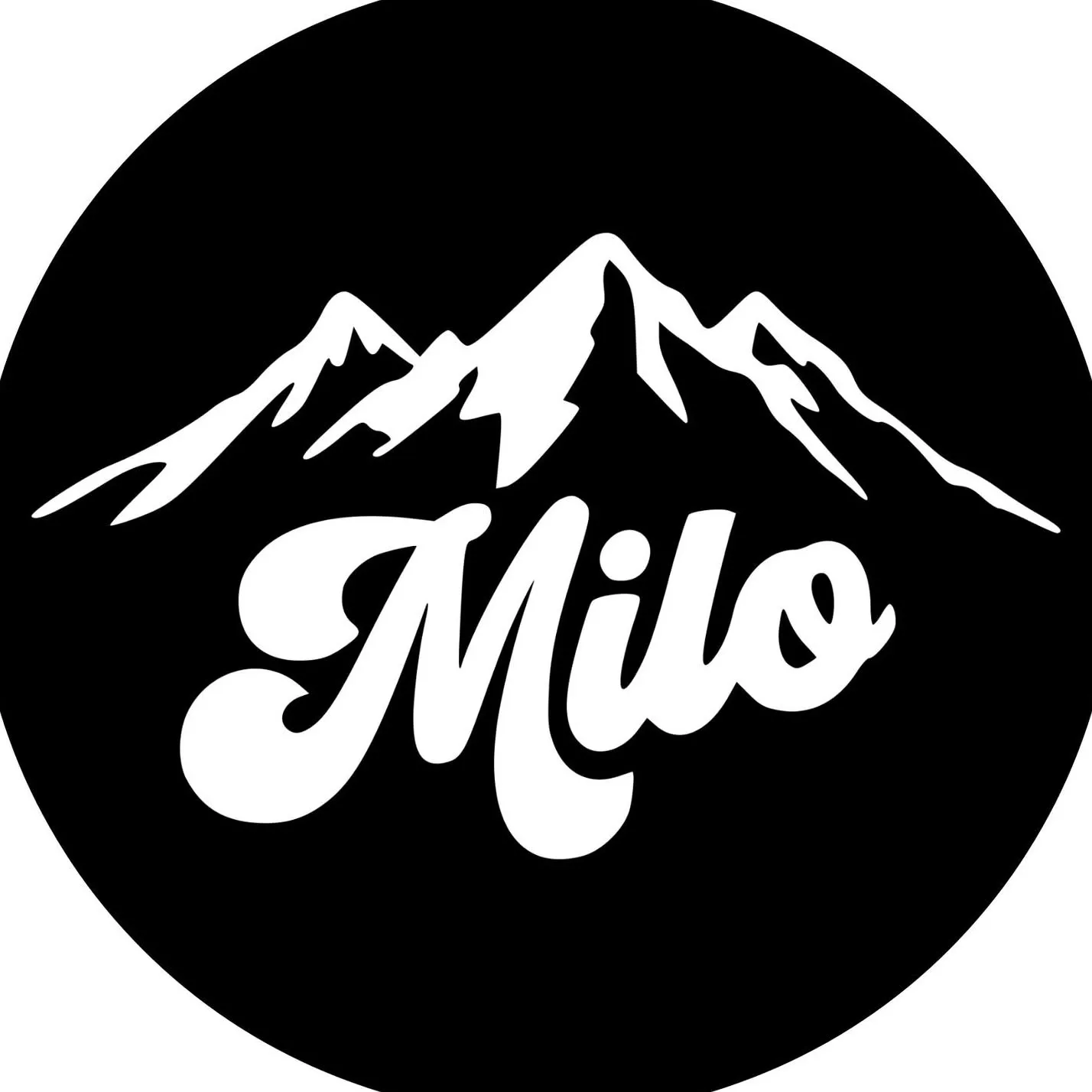 Milo Snow and Skate