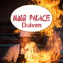Logo Ming Palace