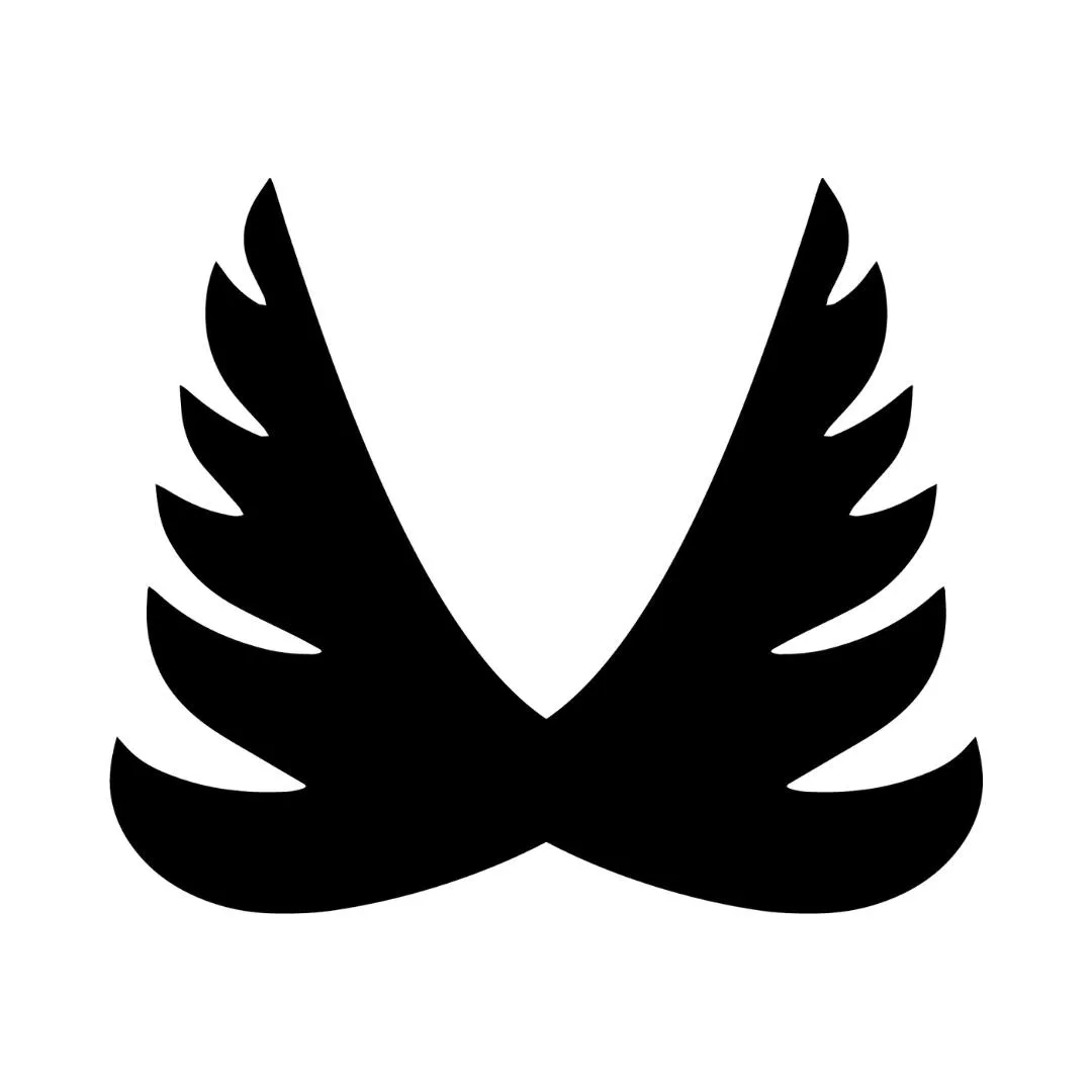 Confidence Studio LLC