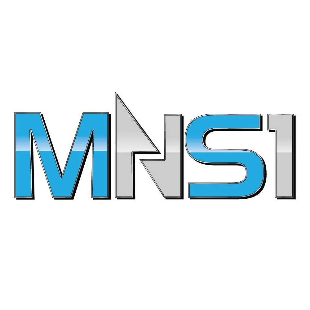 MNS1 EXPRESS INC logo