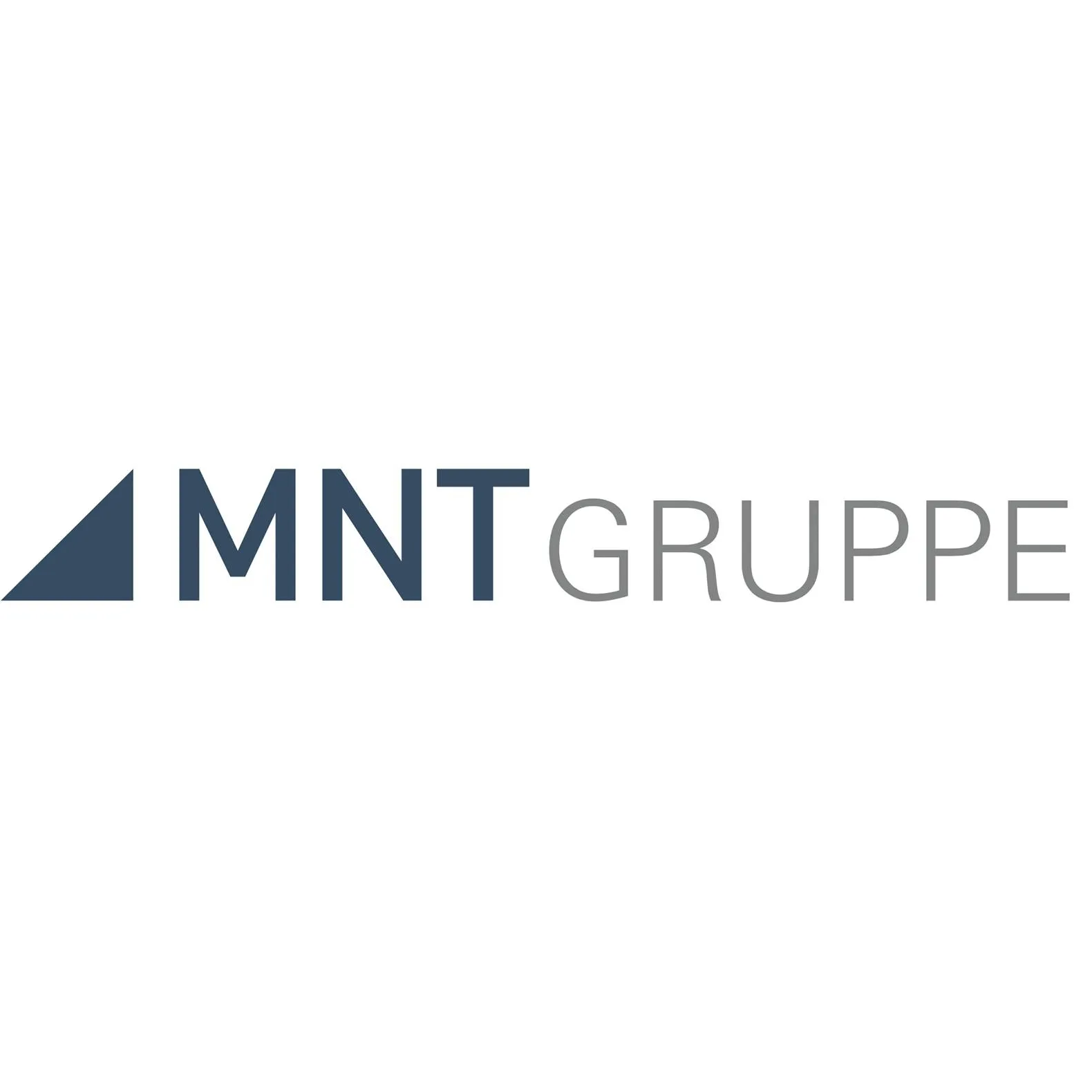 MNT Revision und Treuhand GmbH