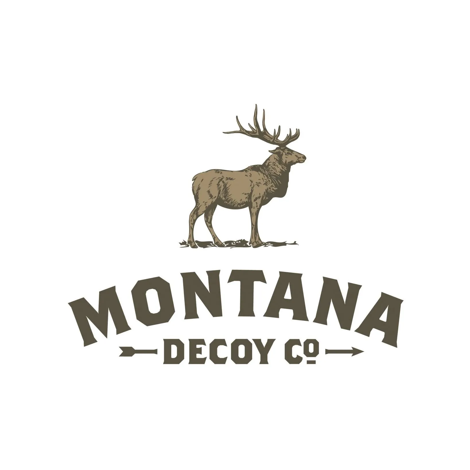 Montanadecoy