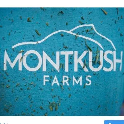 MONTKUSH CBD US