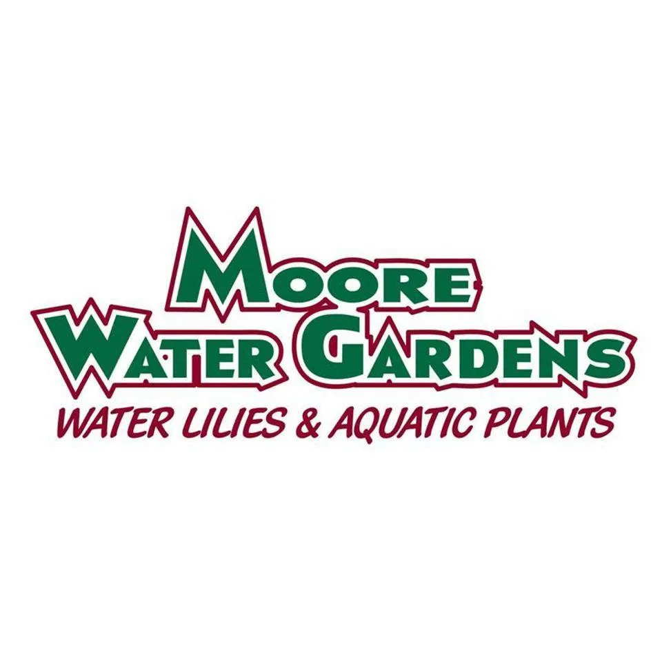 Moorewatergardens