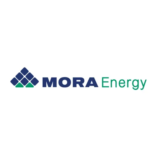 NGP MORA CO-INVEST, L.P. logo