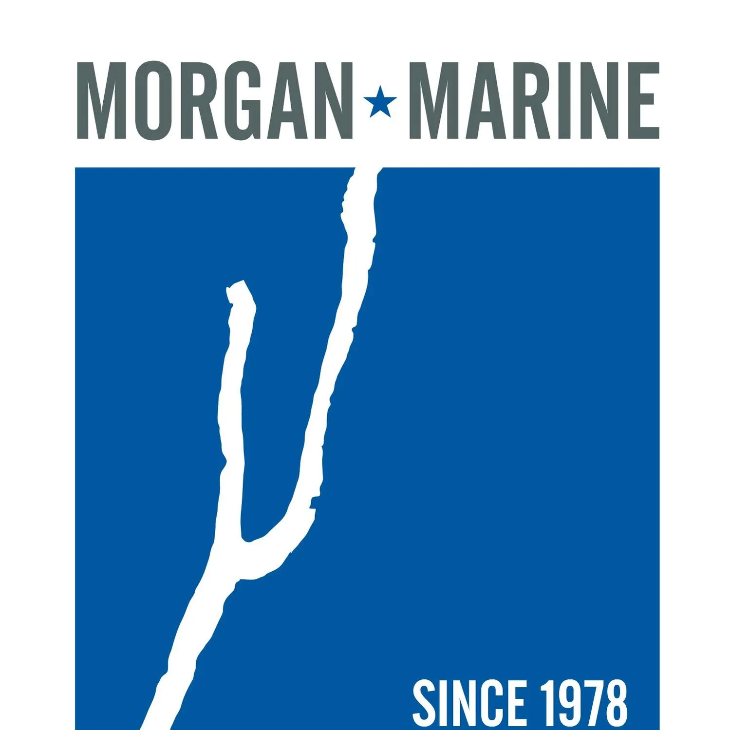 Morganmarine