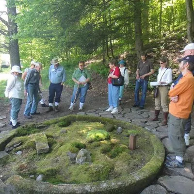 Mossacres