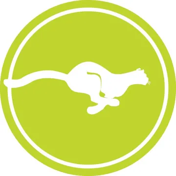 Mountain Line Logo