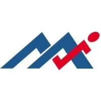 MSITEK LLC logo