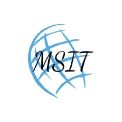 MS INFO TECH LLC logo