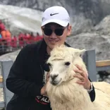 Smart Soft K.K. logo/icon