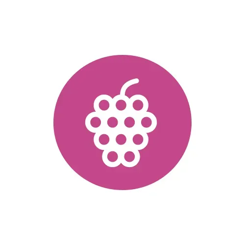 Mulberri logo