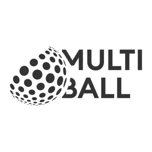 HeaviMultiballB a Series of CGF2021 LLC logo